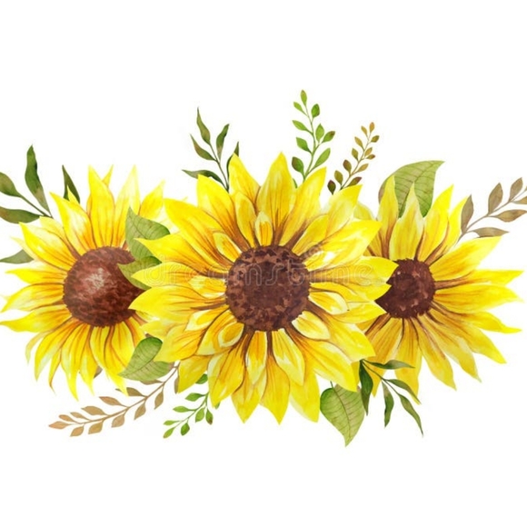 blooming Other - Thanks, you came 💛